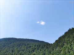 -武陵山森林公园
