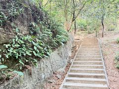 -滴水岩森林公园