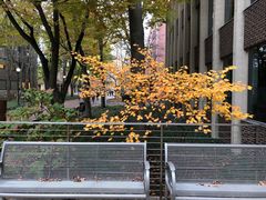-宾夕法尼亚大学沃顿商学院