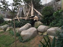 -香港海洋公园