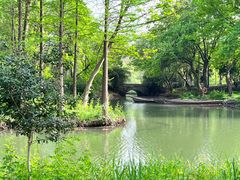 -西溪国家湿地公园