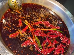 -李掌柜鲜菜火锅(移民广场店)