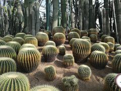 -南山植物园