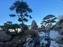 -罗红摄影艺术馆