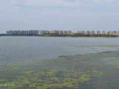 -丁香湖公园
