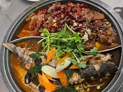 -探炉·香辣豆花烤鱼(笋岗宝能环球汇店)
