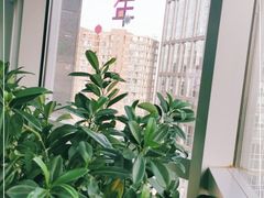 -N1 健身·普拉提·综合馆(嘉美中心店)