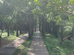 -采石矶景区