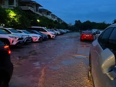 -百利鸽王(紫薇路店)