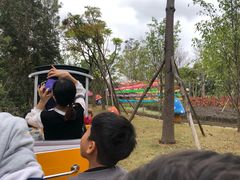 -美的鹭湖探索王国