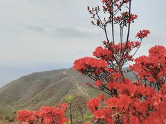-广东天露山旅游度假区