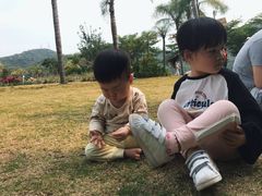 -银湖山郊野公园-相思林