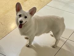 -Thai Basil罗勒叶泰式餐厅(时代天街店)