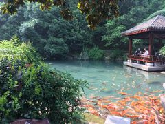 -兰溪地下长河