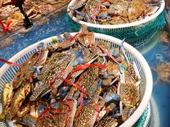 飞蟹-钱库里海鲜自助(星海广场店)