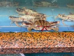 -江杨农产品批发市场