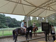 -太阳岛度假酒店
