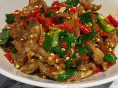 -壹盏灯(惠农店)