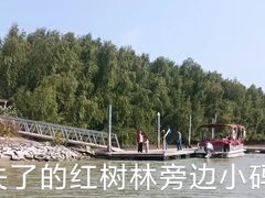 -大亚湾红树林城市湿地公园