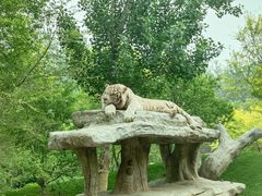 -北京野生动物园