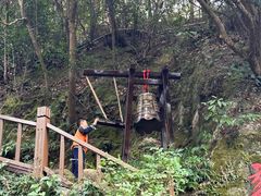 -十八棵（老龙井）御茶园(老龙井店)