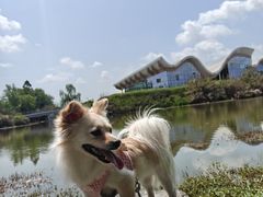 -桤木河湿地公园