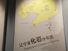 -辽宁古生物博物馆