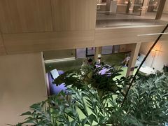 -A+阿加汤宿(大悦城店)