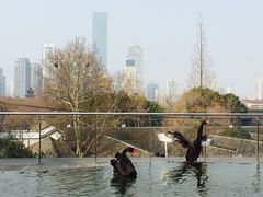 -南京圣和府邸豪华精选酒店