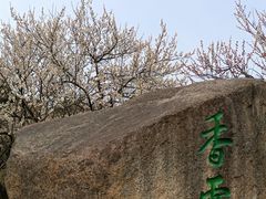 -香雪海