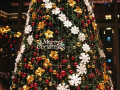 -三迪希尔顿酒店·星空酒廊