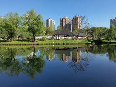 -和平公园