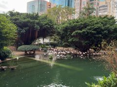 -九龙公园