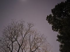 -中山公园音乐堂