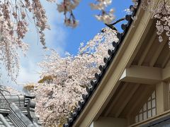 -醍醐寺