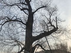 -香山公园-东宫门售票处