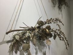 -素咫咖啡CLIFEROSE