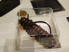 -酷巧·巧克力糖果店