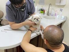 -美联众合动物医院·24h转诊中心