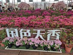 -盈香心动乐园