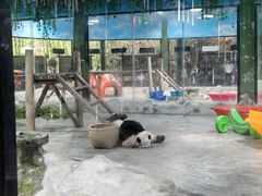 -栾川竹海野生动物园