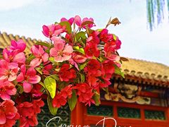 -海棠花溪(元大都城垣遗址公园)