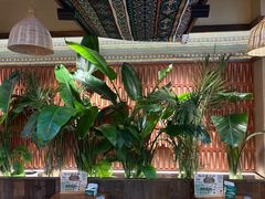 -云阿蛮云南生烫牛肉米线(奉贤路店)