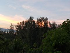 -王权免税店(普吉市区店)