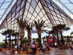 -三亚海昌梦幻海洋不夜城