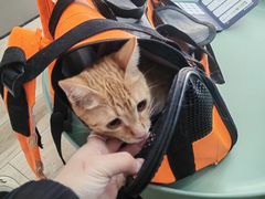 -拜鲁耶动物诊疗中心·宠家动物医院