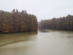 -上海海湾国家森林公园