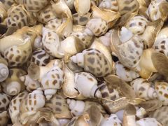 -三个渔夫·蒸汽海鲜(小白楼店)