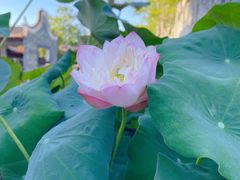 -厦门园林博览苑
