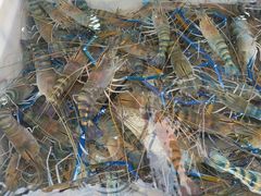 -盛华世家商业广场农贸水产综合批发市场